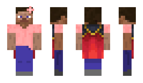 Minecraft skin dalarz