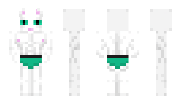 Minecraft skin fartbasket