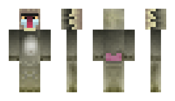 Minecraft skin Baboon