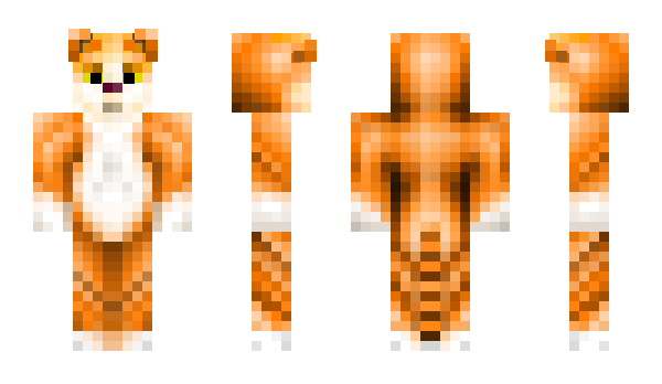 Minecraft skin Zanip