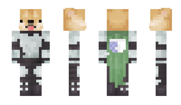 Minecraft skin CoYers