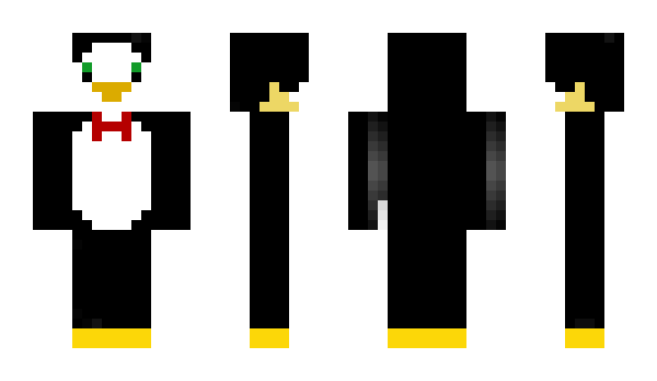 Minecraft skin Precedence