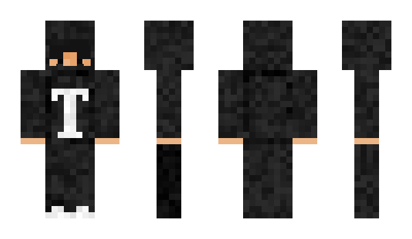 Minecraft skin TGAI