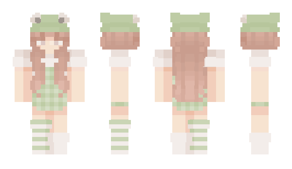 Minecraft skin teitei