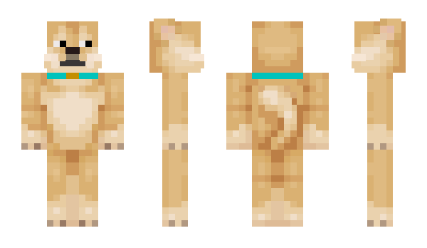 Minecraft skin VeryFlyingDoge