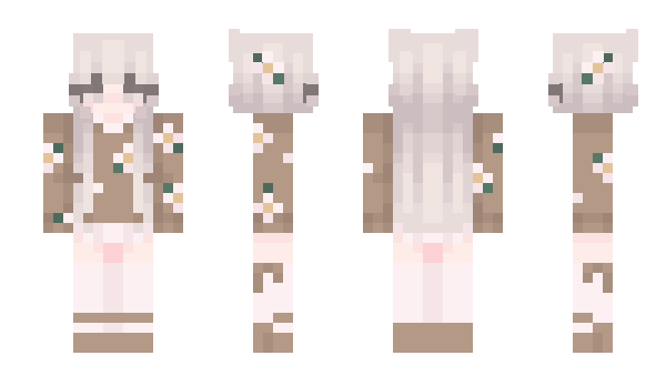 Minecraft skin doutora