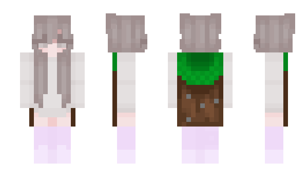 Minecraft skin EveryEnds