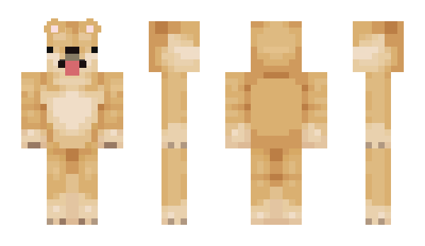 Minecraft skin Vienti