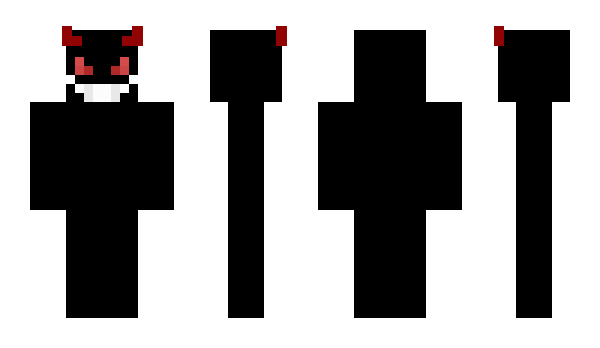 Minecraft скин по нику Accepte