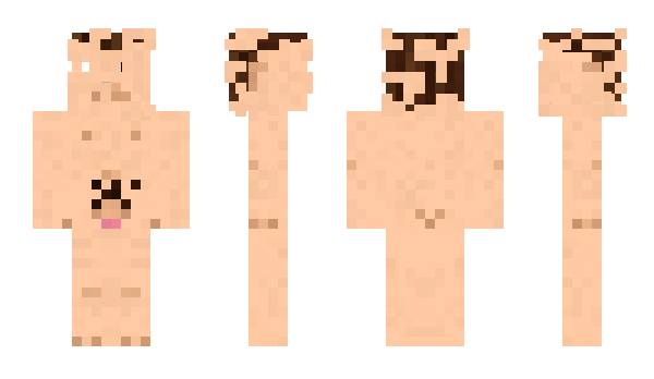 Minecraft skin KTIP