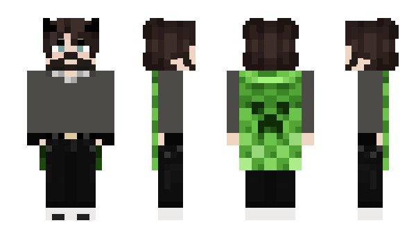 Minecraft скин по нику localpalmer