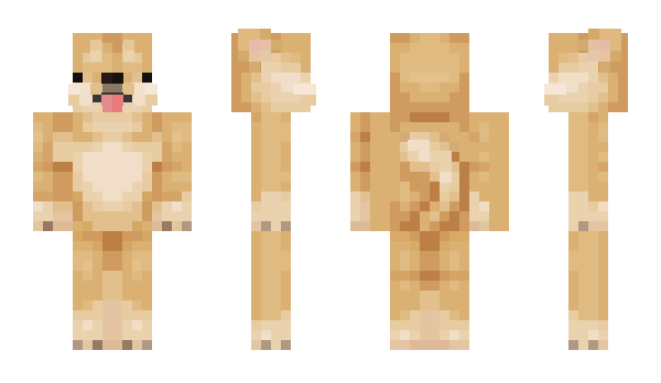 Minecraft skin ktechy