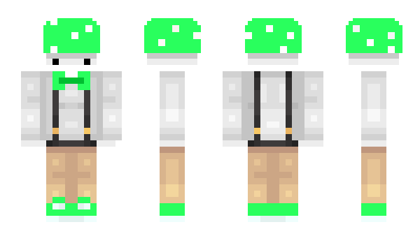 Minecraft skin Toadyo