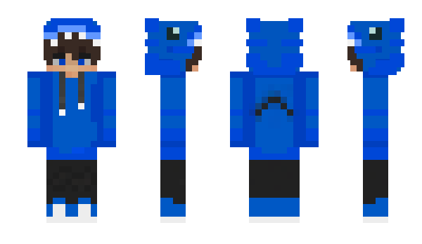 Minecraft skin broRoy