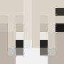 Minecraft skin 21520