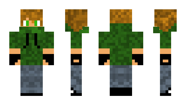 Minecraft skin swinka