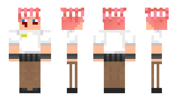 Minecraft skin Combay
