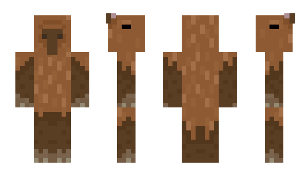 Minecraft skin RonTheCapybara