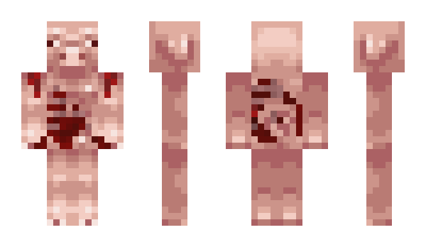 Minecraft skin 0110jay