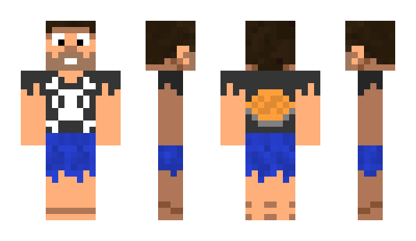 Minecraft skin PieRat