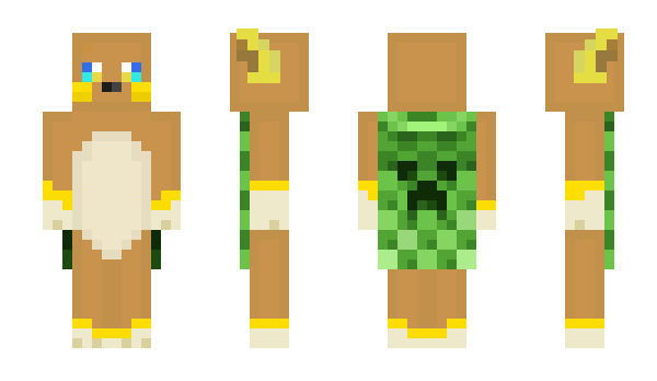 Minecraft skin AlolaRaichu