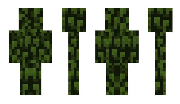 Minecraft skin batkensy