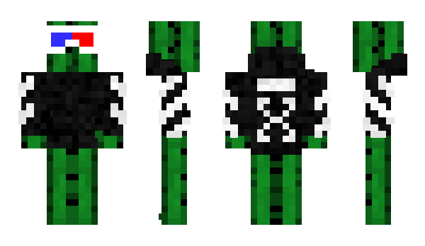 Minecraft skin Lawryn