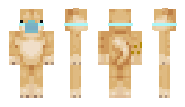 Minecraft skin F3C