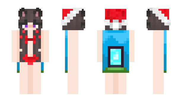 Minecraft skin Snow_mott