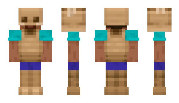 Minecraft скин по нику cisa