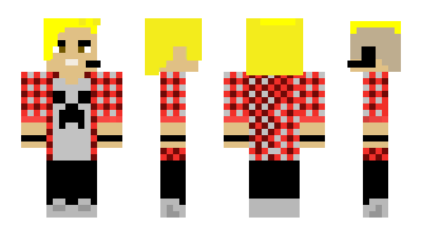 Minecraft skin Lechita