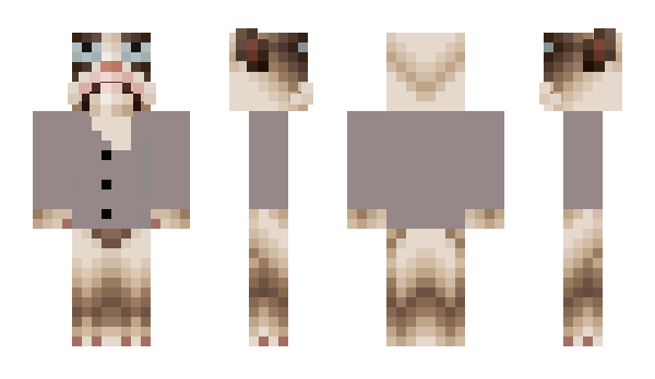 Minecraft skin MjauBoy5555