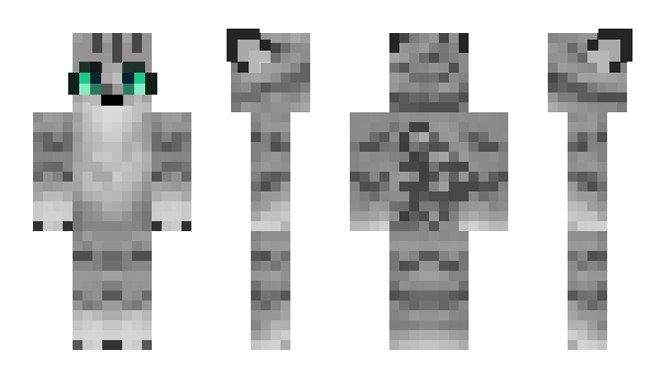 Minecraft skin Secado