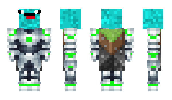 Minecraft skin WokCup