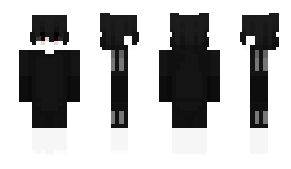 Minecraft skin poluid