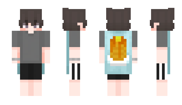 Minecraft skin vanlied