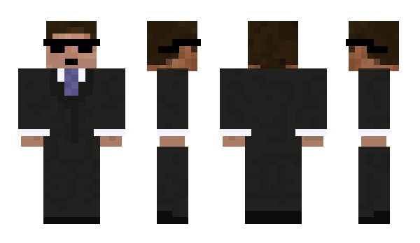 Minecraft skin Herisonn