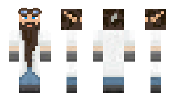 Minecraft skin MrMets