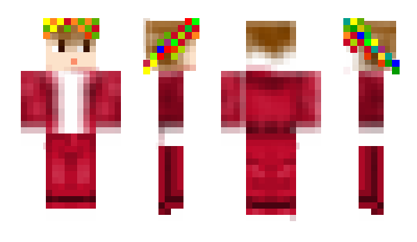 Minecraft skin MSOL