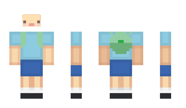 Minecraft skin nashley