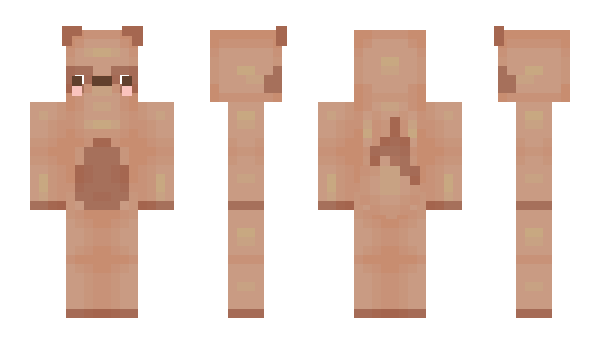 Minecraft skin tanu