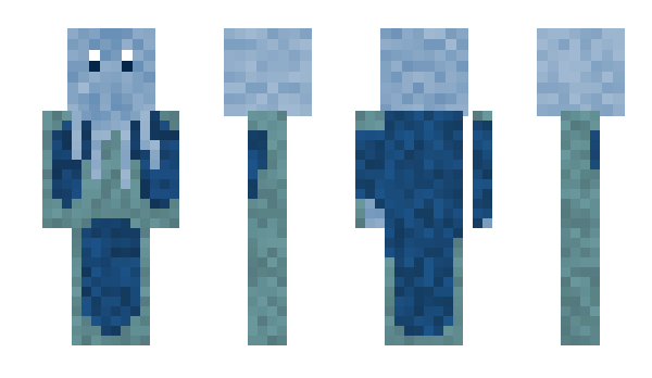 Minecraft skin CNORTH