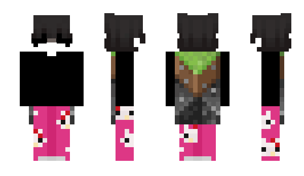 Minecraft skin Saj1d_