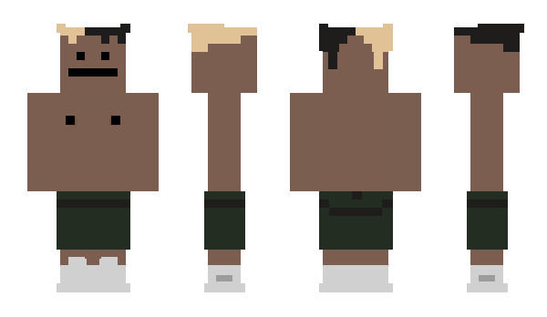 Minecraft skin SkibidiKitten