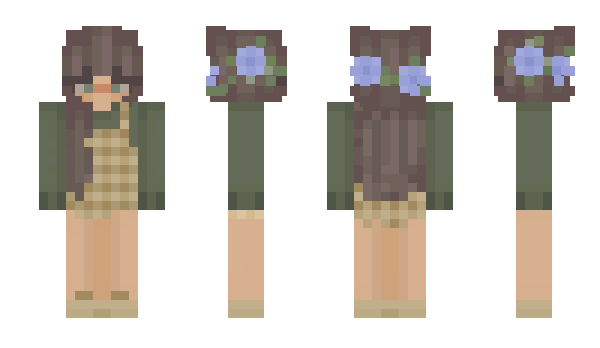 Minecraft skin SkyWalkerWolf