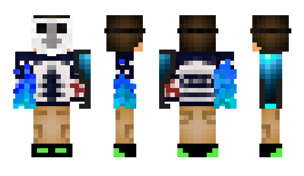 Minecraft skin PinguinHockey