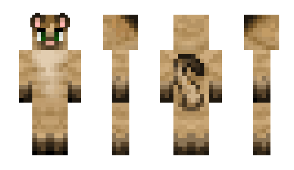 Minecraft skin Vandercat