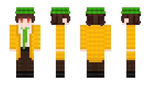 Minecraft skin zenitsy