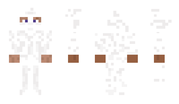 Minecraft skin hiim