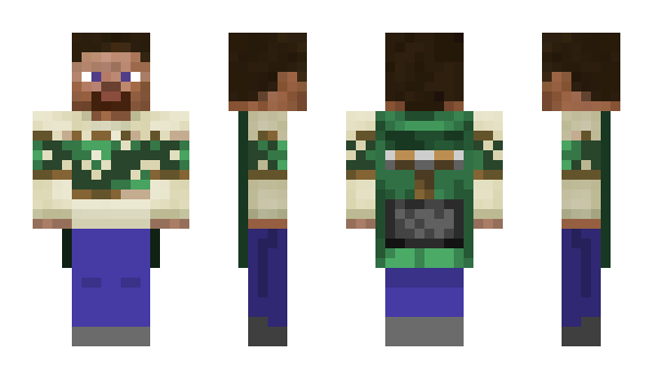 Minecraft skin bibl3